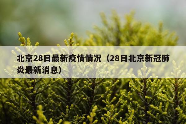 北京28日最新疫情情况（28日北京新冠肺炎最新消息）