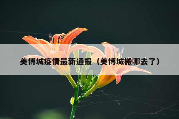 美博城疫情最新通报（美博城搬哪去了）