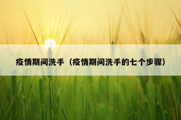疫情期间洗手(疫情期间洗手的七个步骤)