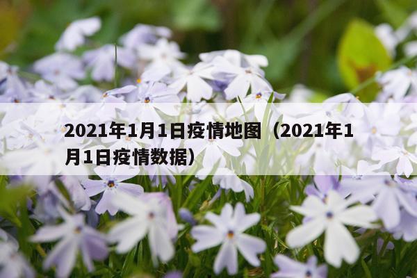 2021年1月1日疫情地图（2021年1月1日疫情数据）