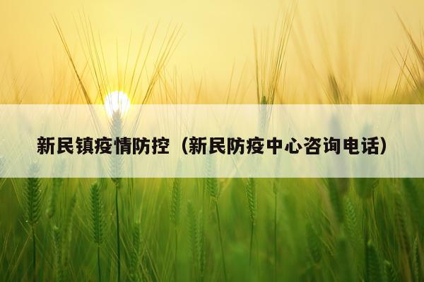 新民镇疫情防控（新民防疫中心咨询电话）