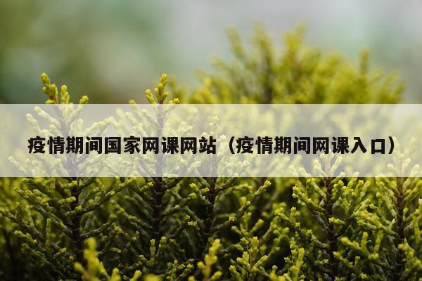 疫情期间国家网课网站（疫情期间网课入口）