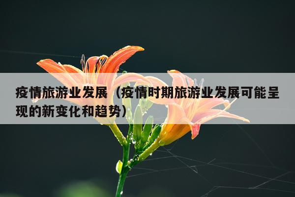 疫情旅游业发展（疫情时期旅游业发展可能呈现的新变化和趋势）