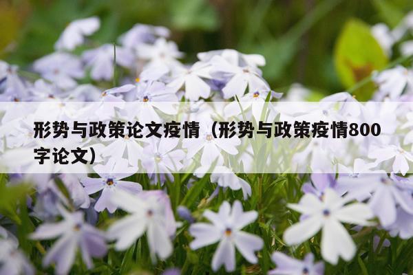 形势与政策论文疫情（形势与政策疫情800字论文）