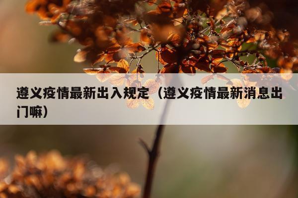 遵义疫情最新出入规定（遵义疫情最新消息出门嘛）