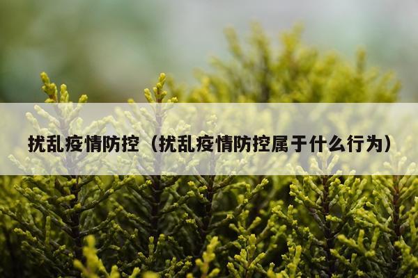 扰乱疫情防控（扰乱疫情防控属于什么行为）