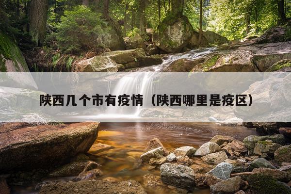 陕西几个市有疫情（陕西哪里是疫区）