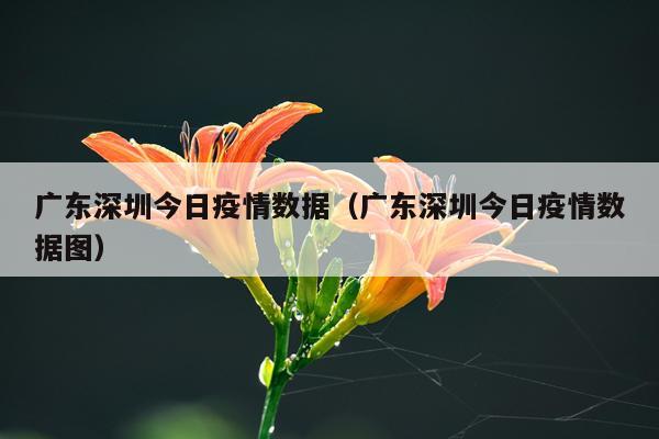 广东深圳今日疫情数据（广东深圳今日疫情数据图）