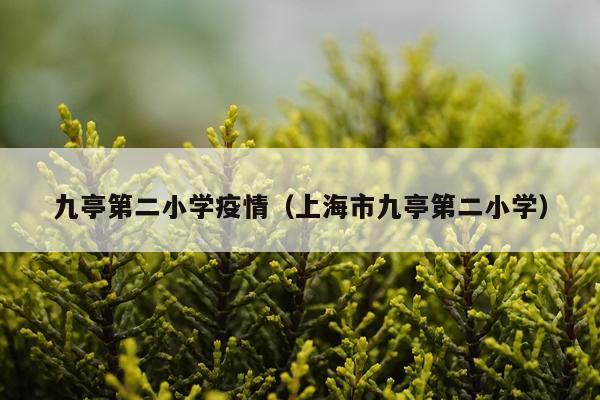 九亭第二小学疫情（上海市九亭第二小学）
