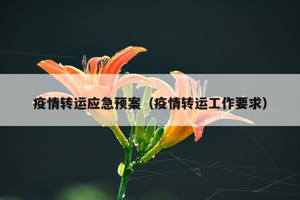 疫情转运应急预案（疫情转运工作要求）