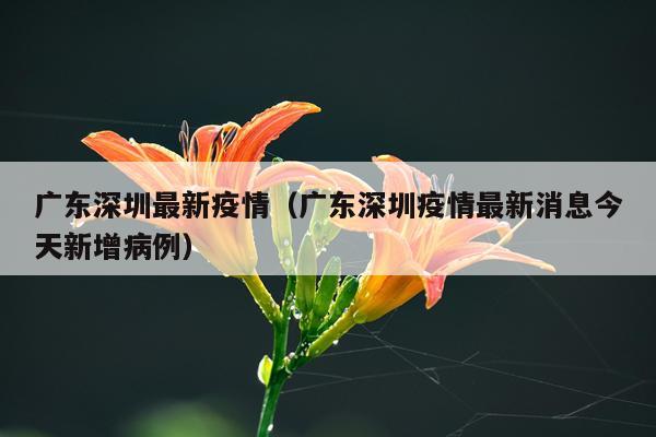 广东深圳最新疫情（广东深圳疫情最新消息今天新增病例）