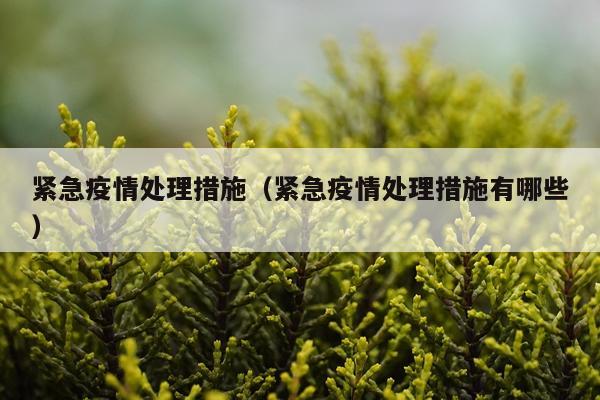紧急疫情处理措施（紧急疫情处理措施有哪些）