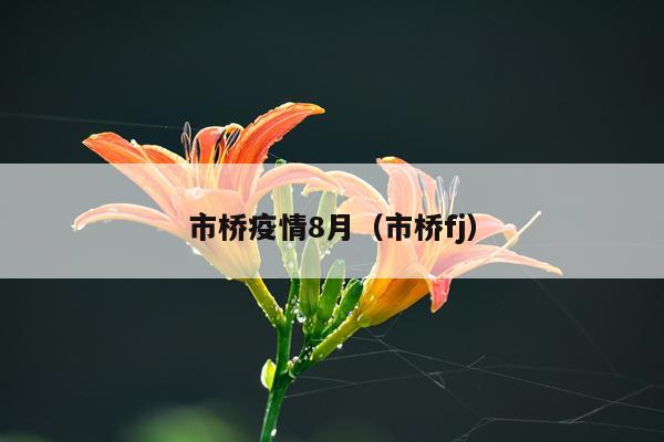 市桥疫情8月（市桥fj）