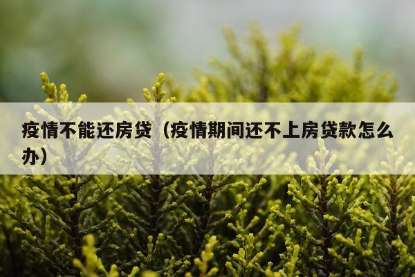 疫情不能还房贷（疫情期间还不上房贷款怎么办）