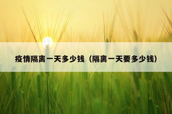 疫情隔离一天多少钱（隔离一天要多少钱）