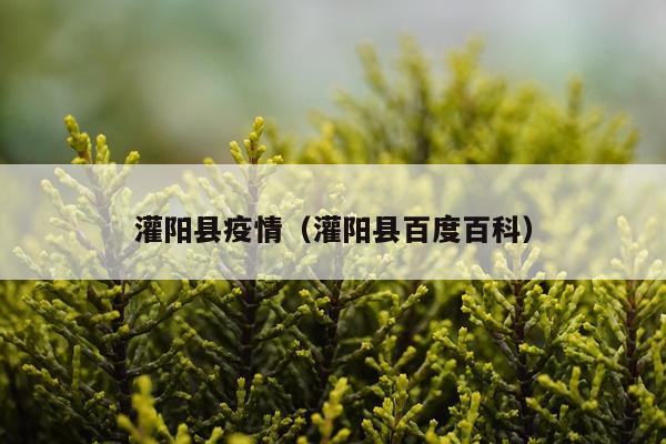 灌阳县疫情（灌阳县百度百科）
