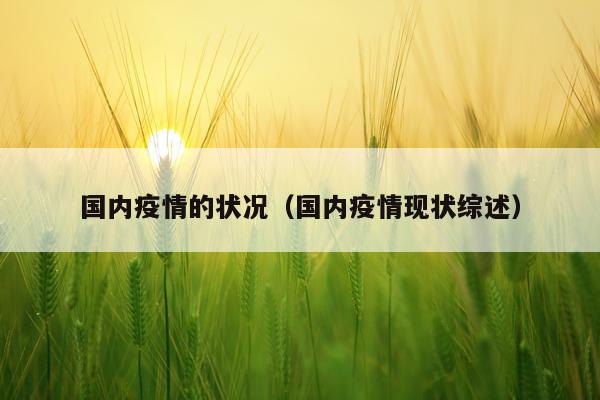 国内疫情的状况（国内疫情现状综述）