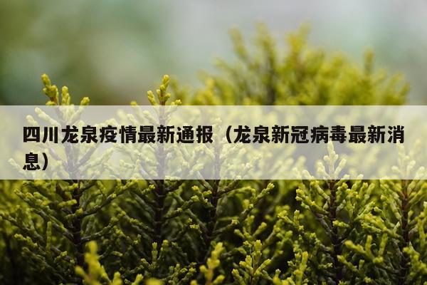 四川龙泉疫情最新通报（龙泉新冠病毒最新消息）