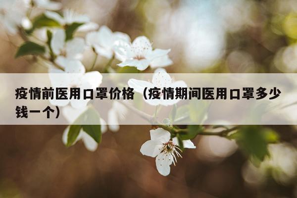 疫情前医用口罩价格（疫情期间医用口罩多少钱一个）