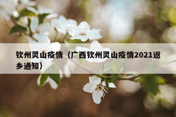 钦州灵山疫情（广西钦州灵山疫情2021返乡通知）