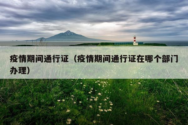 疫情期间通行证（疫情期间通行证在哪个部门办理）