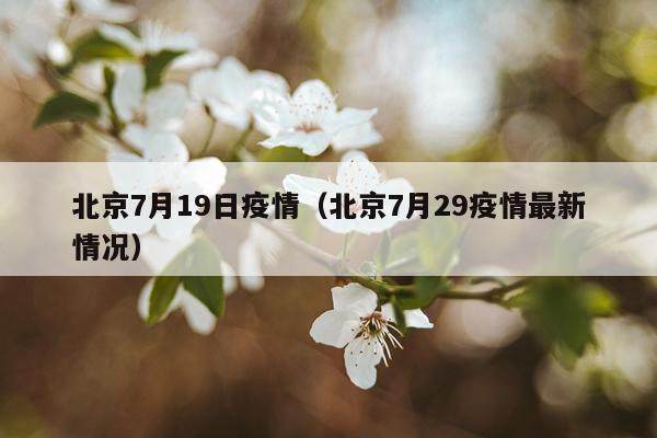 北京7月19日疫情（北京7月29疫情最新情况）