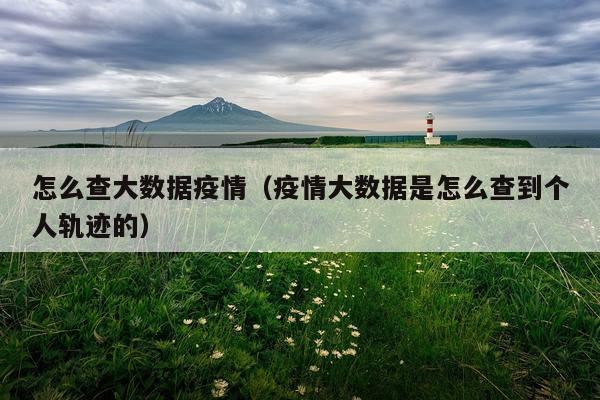 怎么查大数据疫情（疫情大数据是怎么查到个人轨迹的）