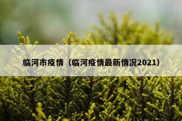 临河市疫情（临河疫情最新情况2021）