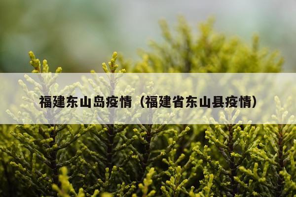 福建东山岛疫情（福建省东山县疫情）