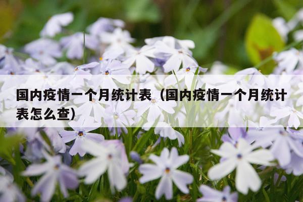 国内疫情一个月统计表（国内疫情一个月统计表怎么查）