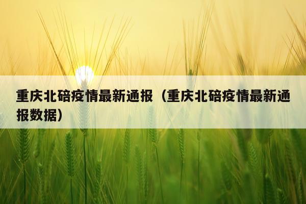 重庆北碚疫情最新通报（重庆北碚疫情最新通报数据）