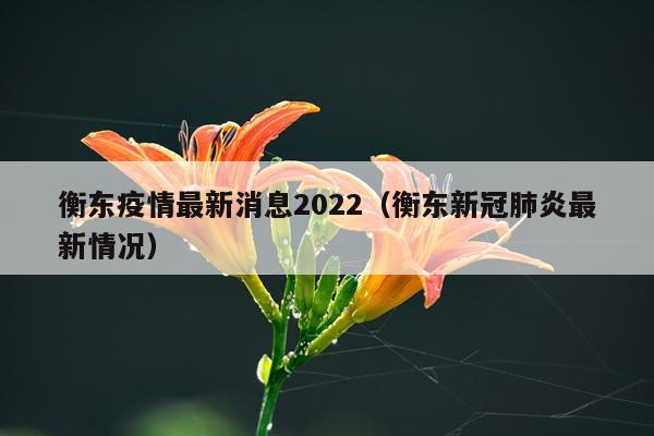 衡东疫情最新消息2022（衡东新冠肺炎最新情况）
