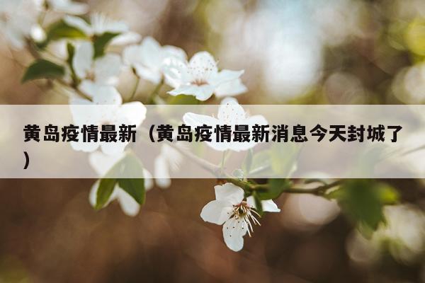 黄岛疫情最新（黄岛疫情最新消息今天封城了）