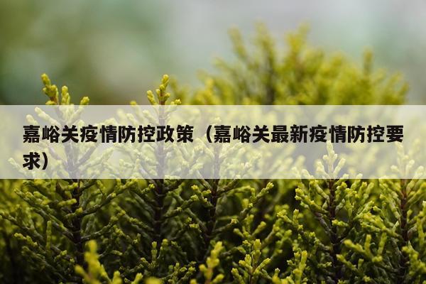 嘉峪关疫情防控政策（嘉峪关最新疫情防控要求）