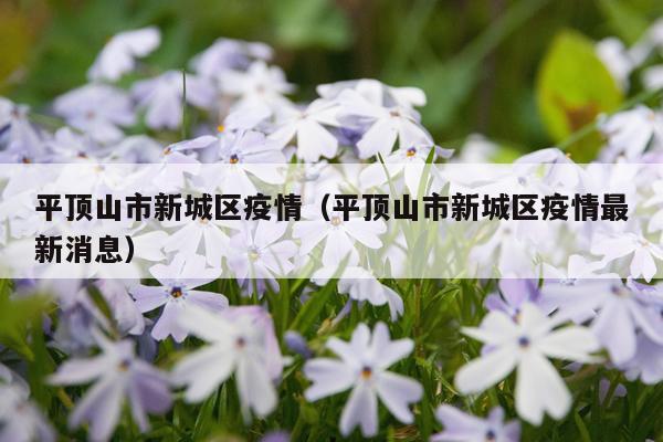 平顶山市新城区疫情（平顶山市新城区疫情最新消息）