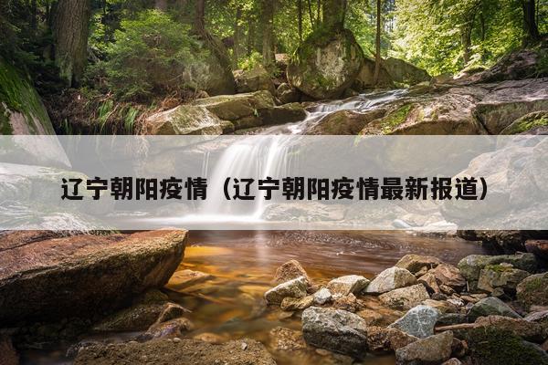 辽宁朝阳疫情（辽宁朝阳疫情最新报道）