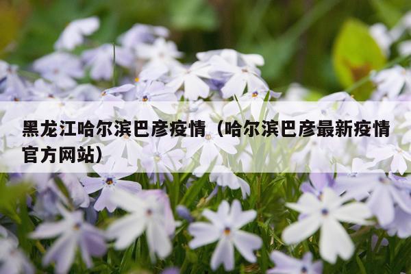 黑龙江哈尔滨巴彦疫情（哈尔滨巴彦最新疫情官方网站）