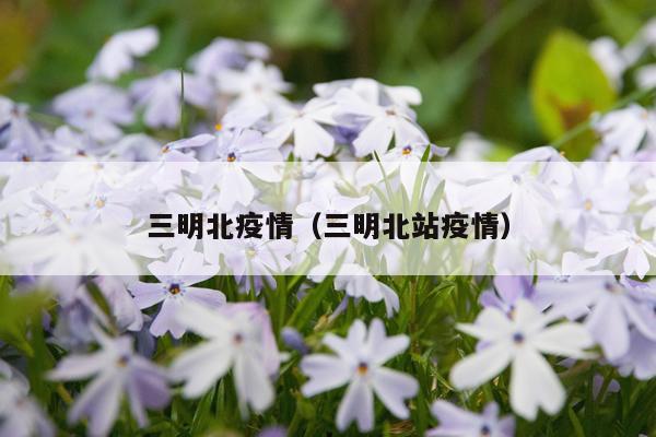 三明北疫情（三明北站疫情）