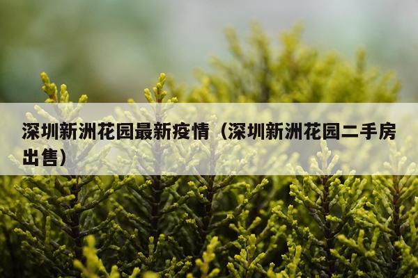 深圳新洲花园最新疫情（深圳新洲花园二手房出售）
