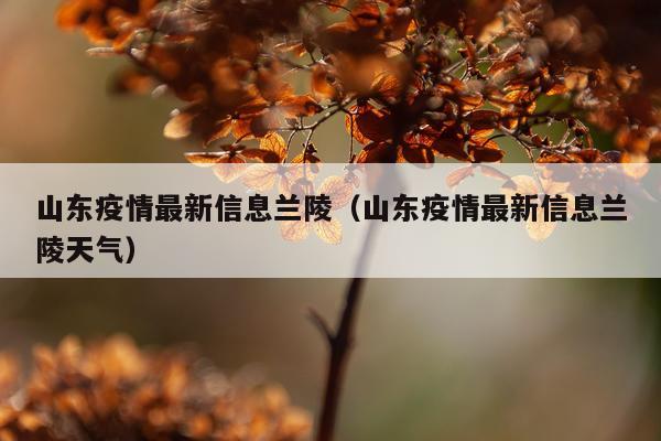 山东疫情最新信息兰陵（山东疫情最新信息兰陵天气）