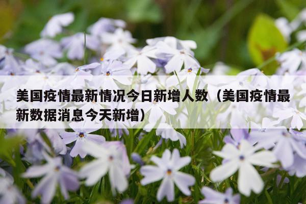 美国疫情最新情况今日新增人数（美国疫情最新数据消息今天新增）