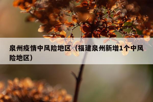 泉州疫情中风险地区（福建泉州新增1个中风险地区）