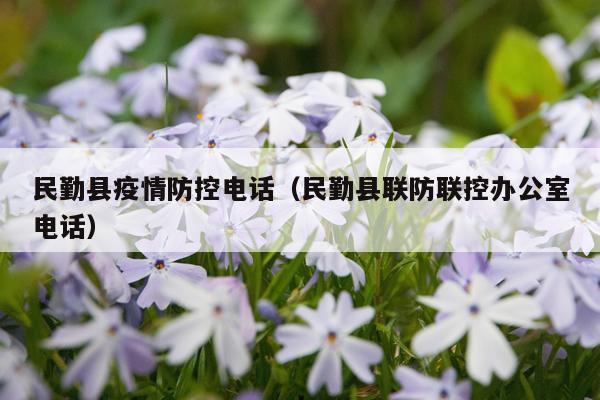 民勤县疫情防控电话（民勤县联防联控办公室电话）