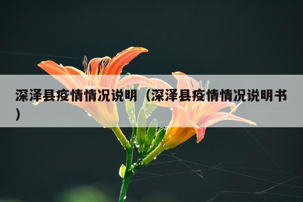深泽县疫情情况说明（深泽县疫情情况说明书）