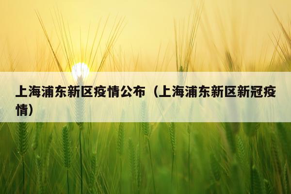 上海浦东新区疫情公布（上海浦东新区新冠疫情）
