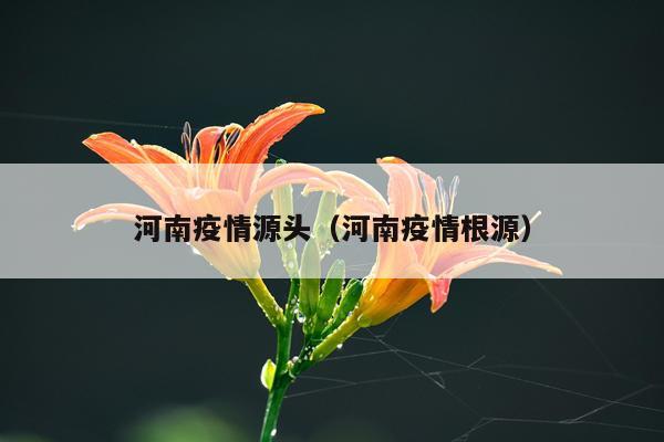 河南疫情源头（河南疫情根源）