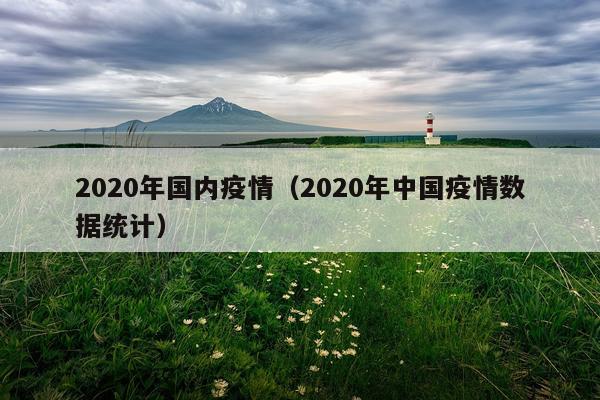 2020年国内疫情（2020年中国疫情数据统计）