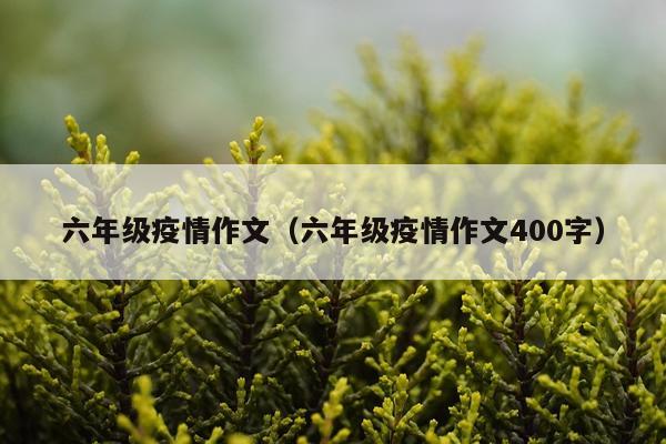 六年级疫情作文(六年级疫情作文400字)