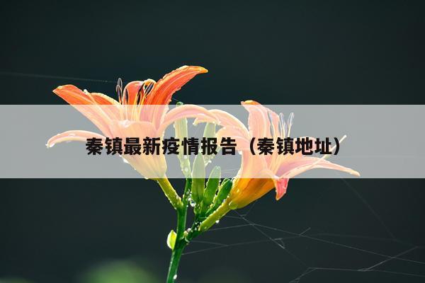 秦镇最新疫情报告（秦镇地址）