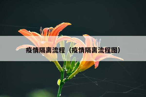 疫情隔离流程（疫情隔离流程图）